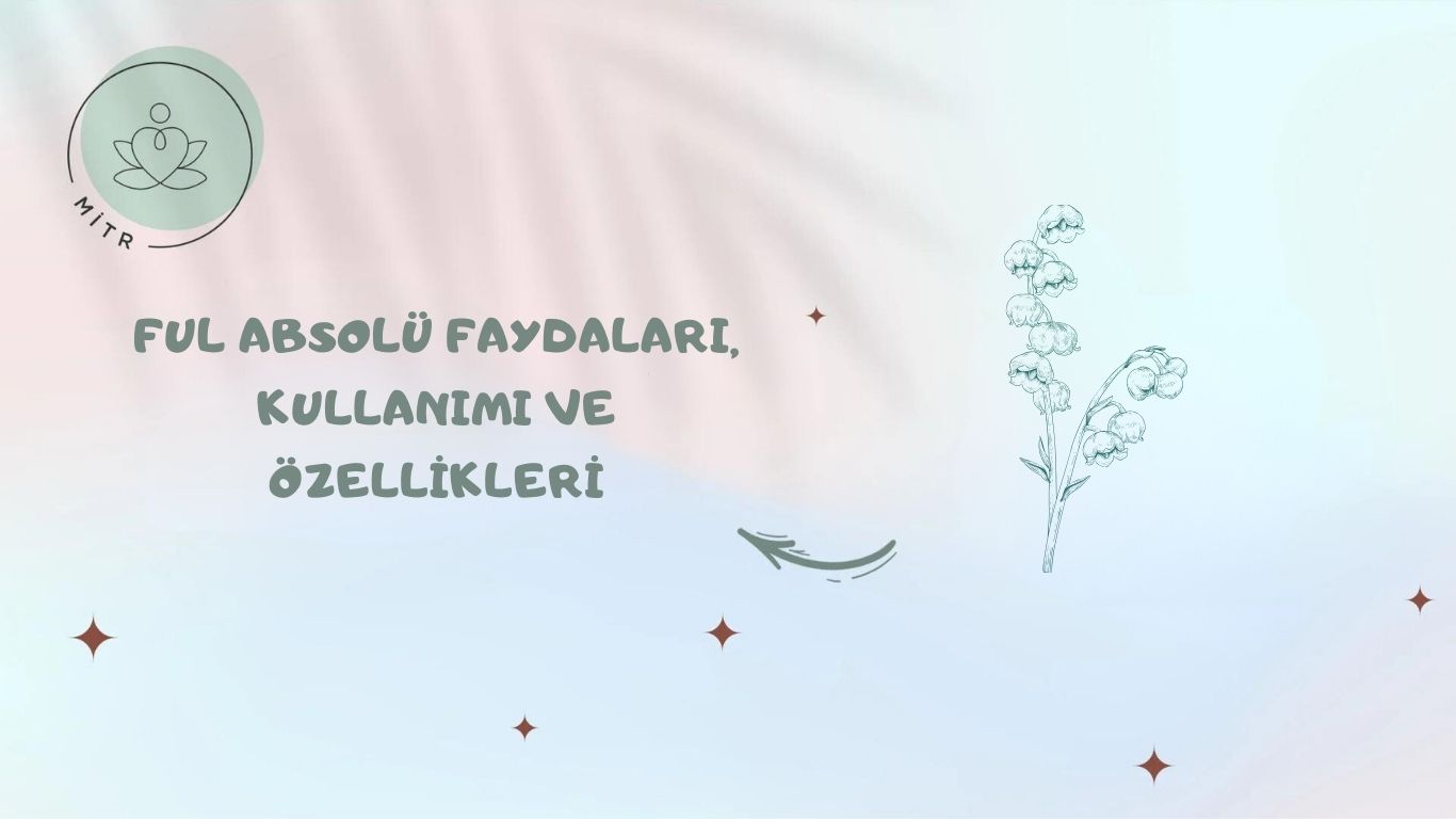 Ful Absolü Faydaları, Kullanımı ve Özellikleri