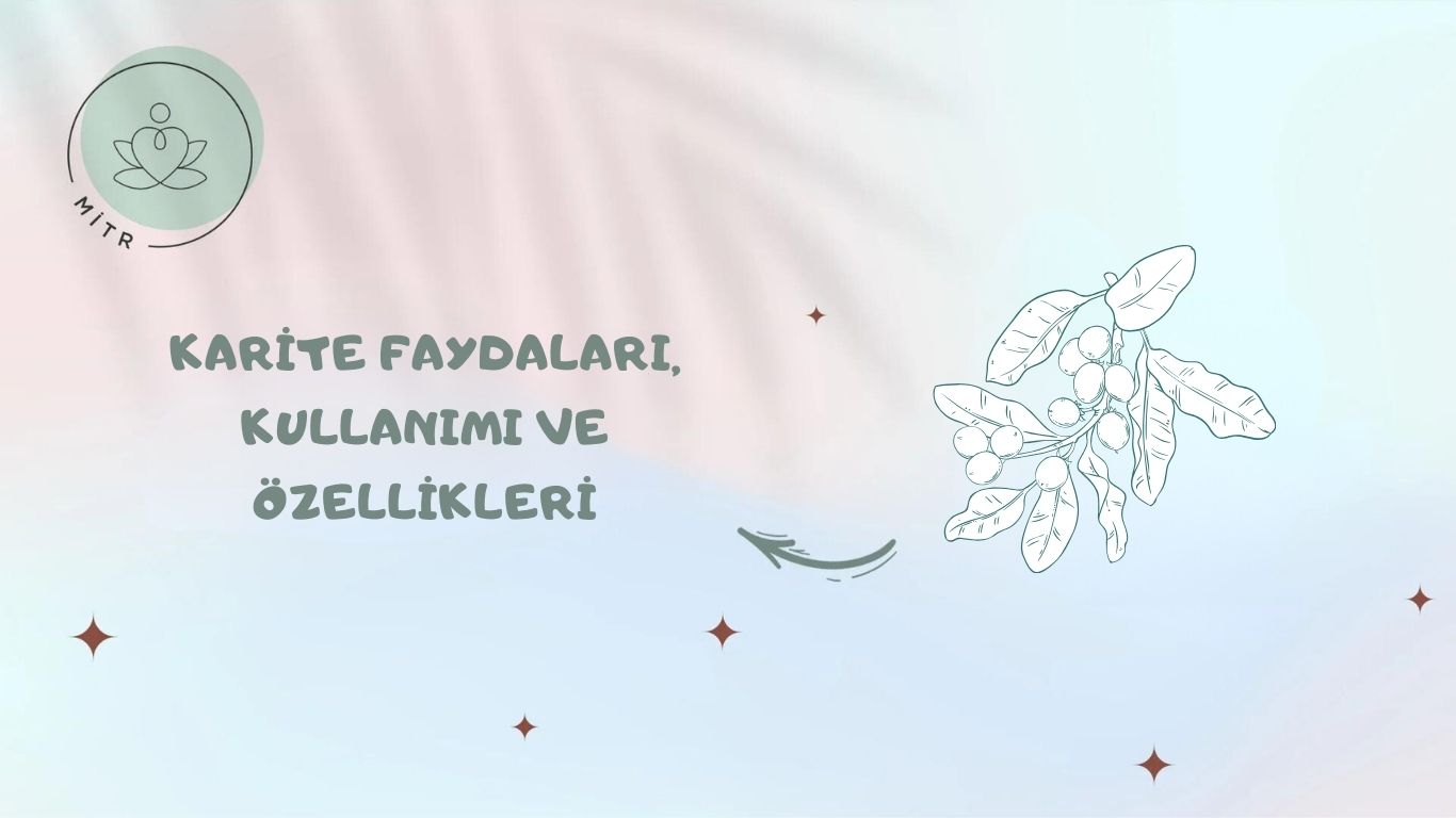 Karite Faydaları, Kullanımı ve Özellikleri