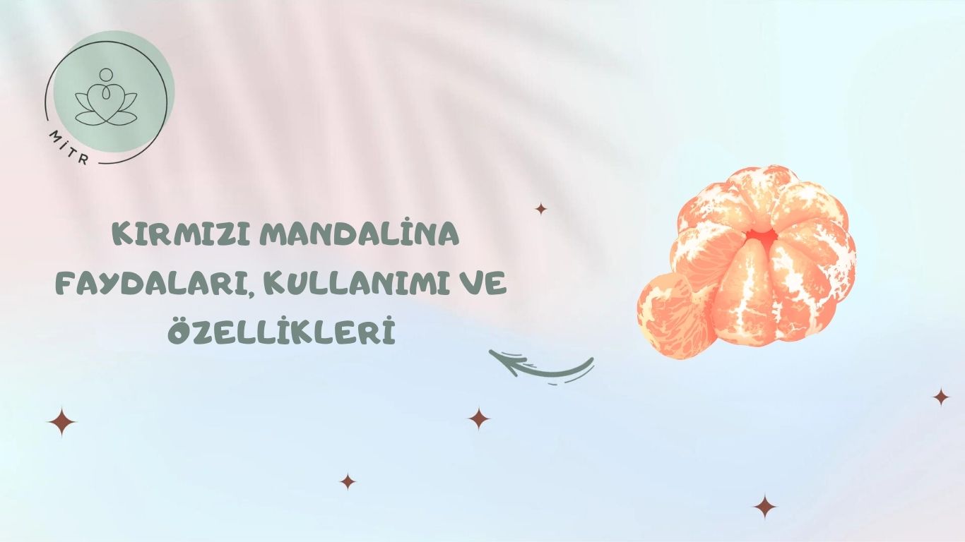 Kırmızı Mandalina Faydaları, Kullanımı ve Özellikleri