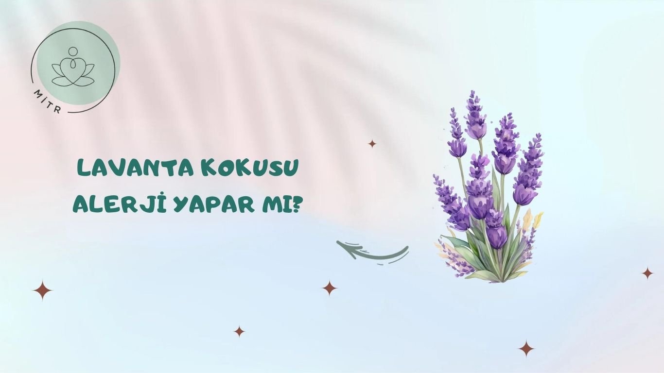 Lavanta Kokusu Alerji Yapar Mı?