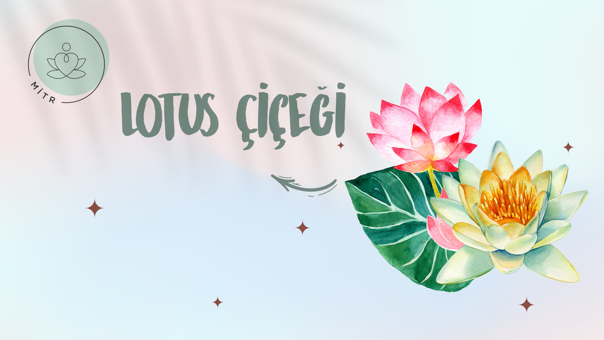 Lotus Çiçeği Nedir? Etkileri Nelerdir?