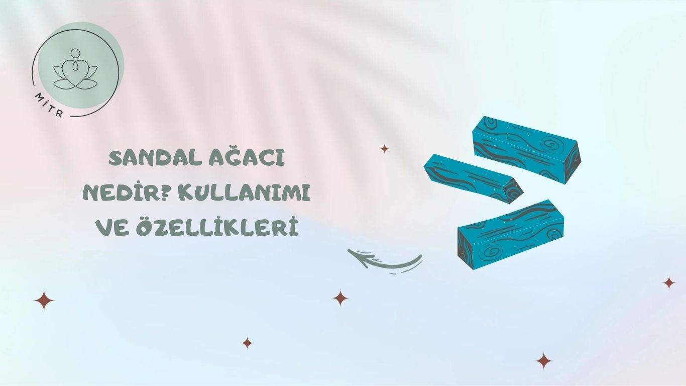 Sandal Ağacı Nedir? Kullanımı ve Özellikleri