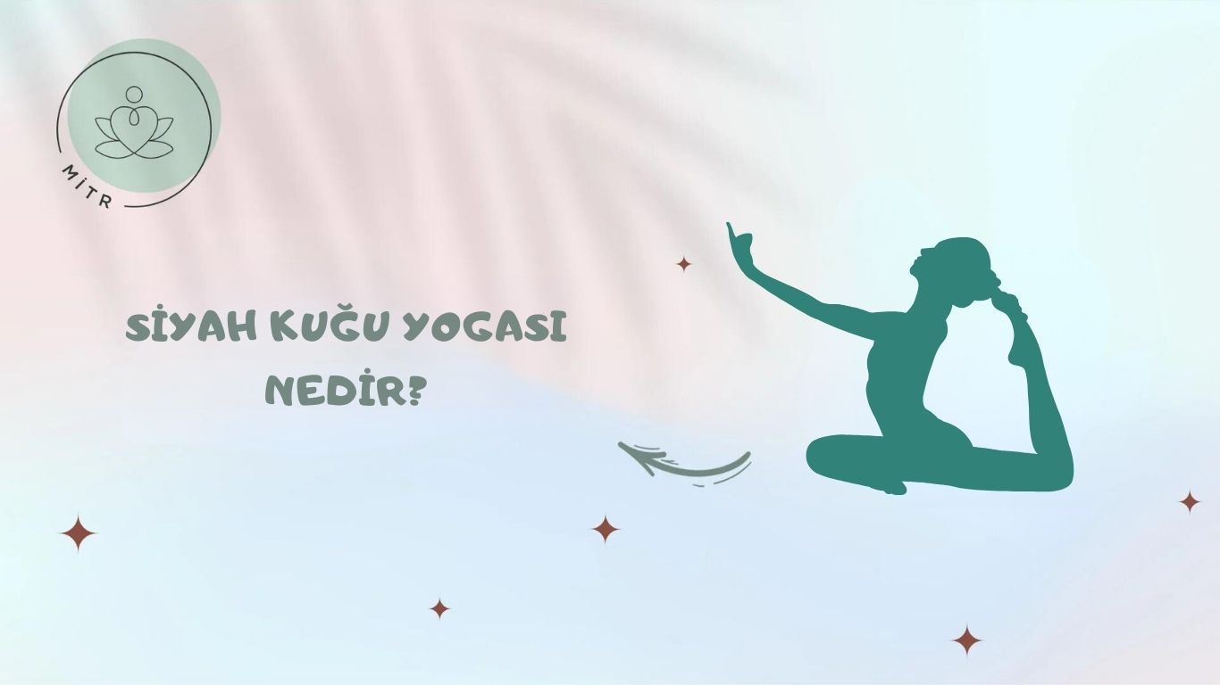 Siyah Kuğu Yogası Nedir?