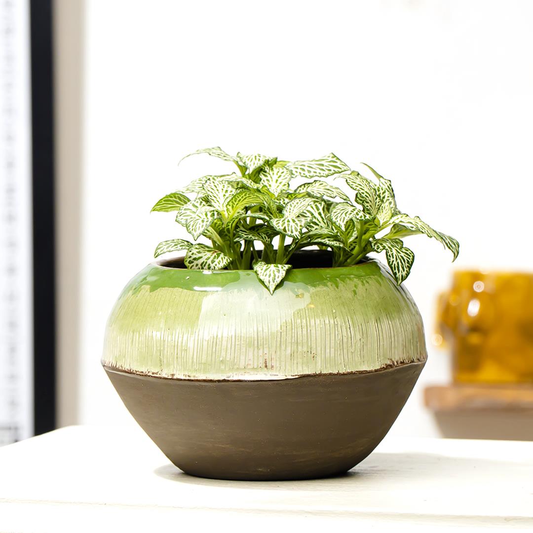 Elysium El Yapımı Seramik Vazo