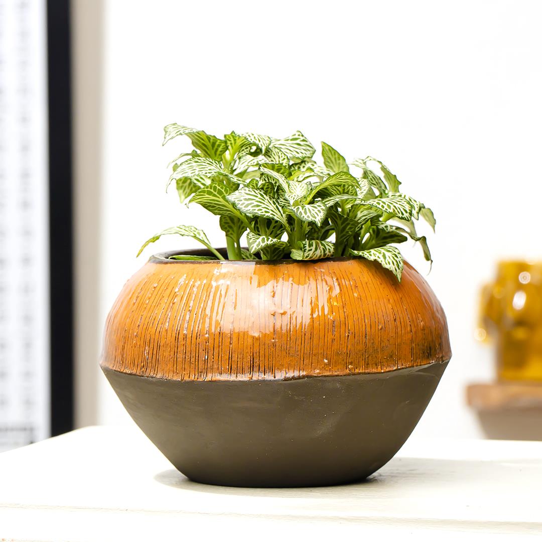 Vyana Life El Yapımı Seramik Vazo