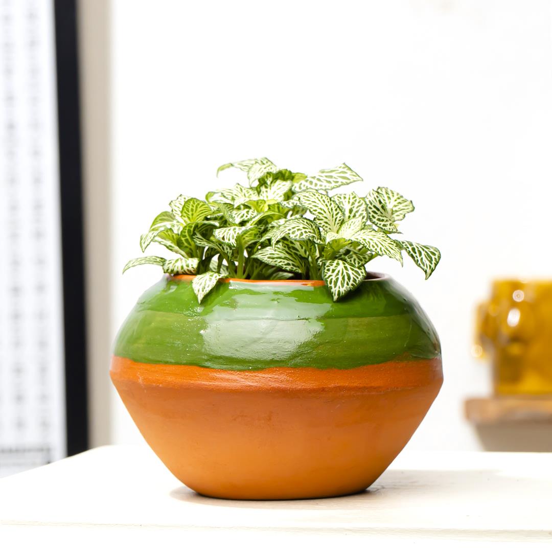 Vyana Terracotta El Yapımı Seramik Vazo