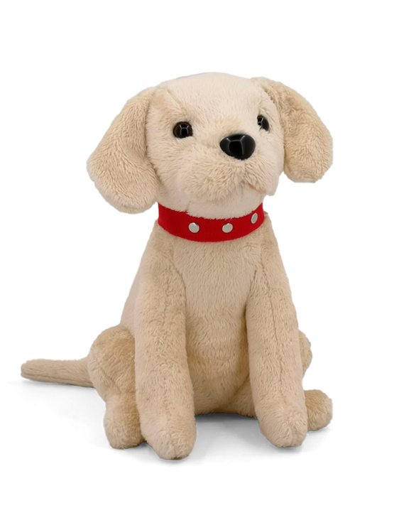 Köpek