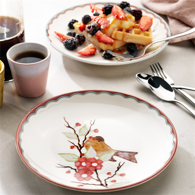 Schafer Lanis Pasta Servis Seti 6 Parça-Asorti