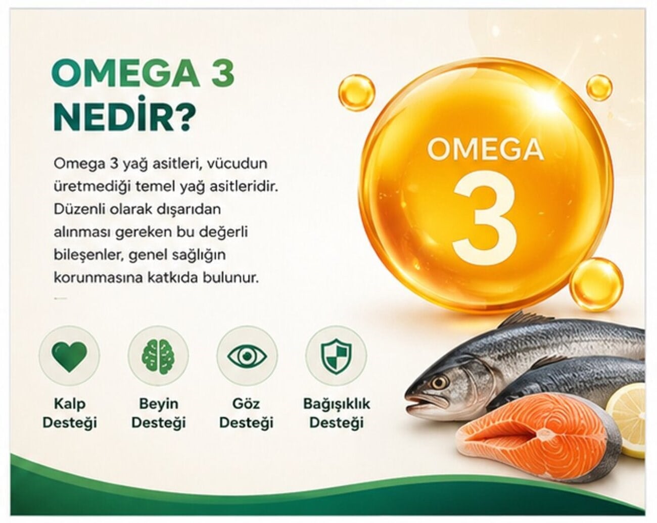 Omega 3 Balık yağı fish oil 500 mg 60 adet Softjel Yumuşak Kapsül takviye gıda EPA DHA