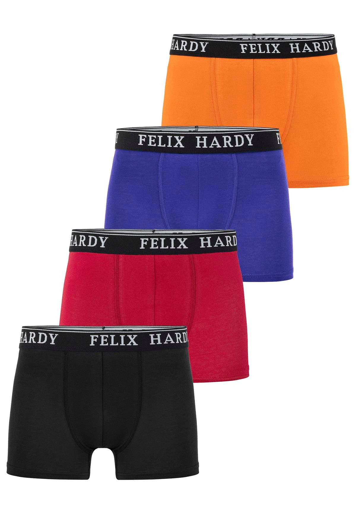 4'lü BoxerFelix HardyFHMBXR867-6