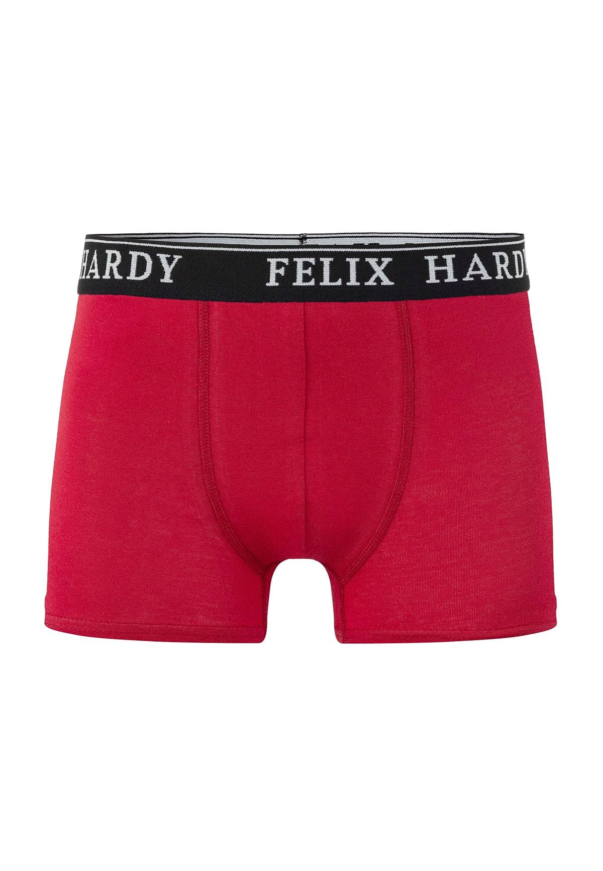 4'lü BoxerFelix HardyFHMBXR867-2
