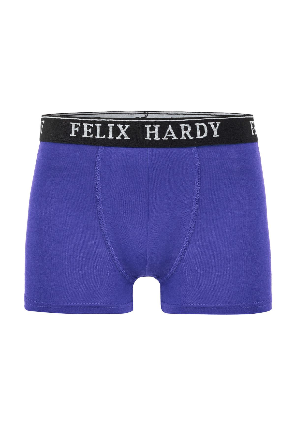4'lü BoxerFelix HardyFHMBXR867-6
