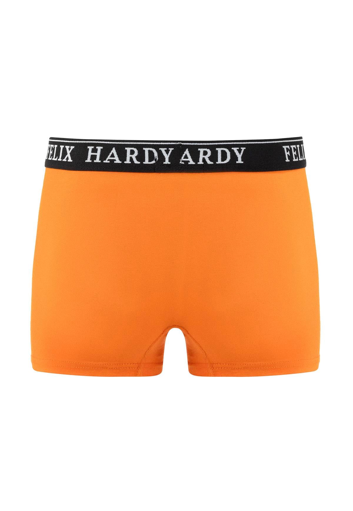 4'lü BoxerFelix HardyFHMBXR867-6
