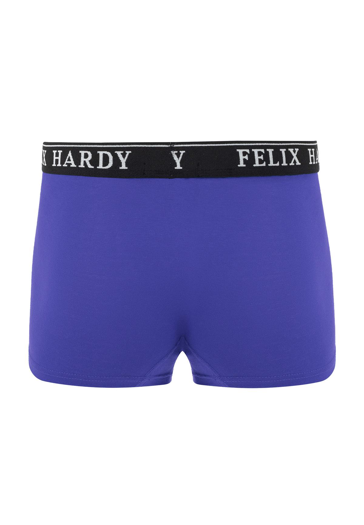 4'lü BoxerFelix HardyFHMBXR867-6