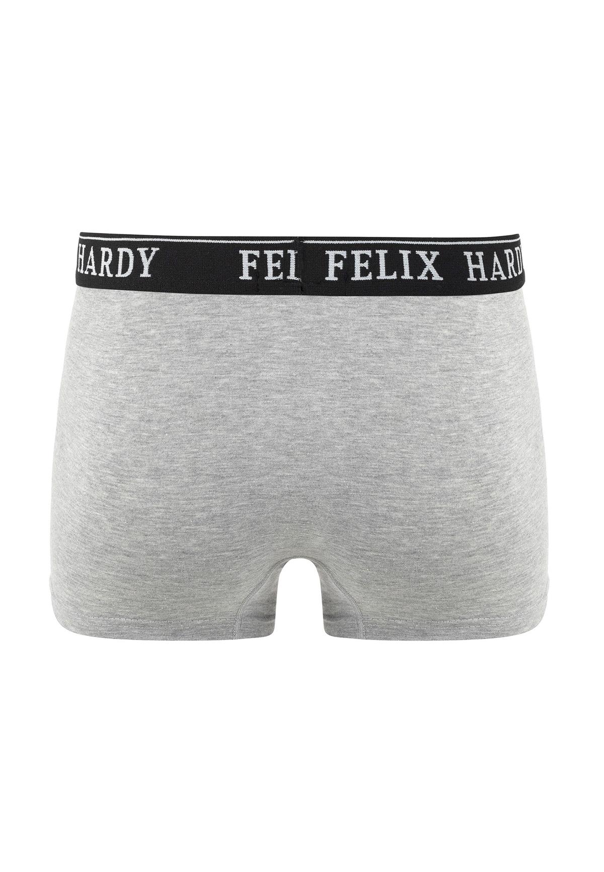 4'lü BoxerFelix HardyFHMBXR867-4