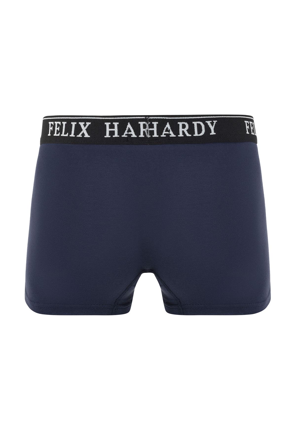 4'lü BoxerFelix HardyFHMBXR867-2
