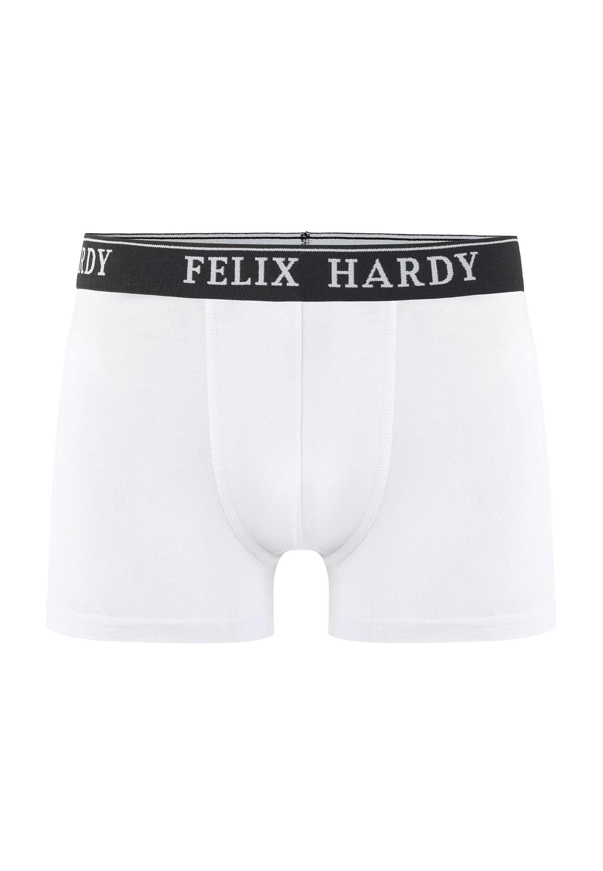 4'lü BoxerFelix HardyFHMBXR867-2