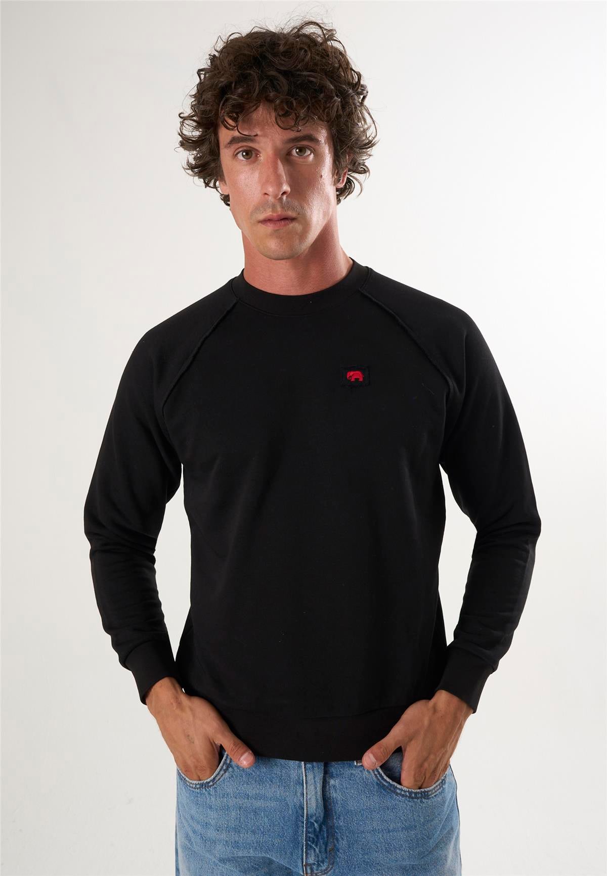 Bisiklet Yaka Basic SweatshirtFelix HardyFHMPLV846-4