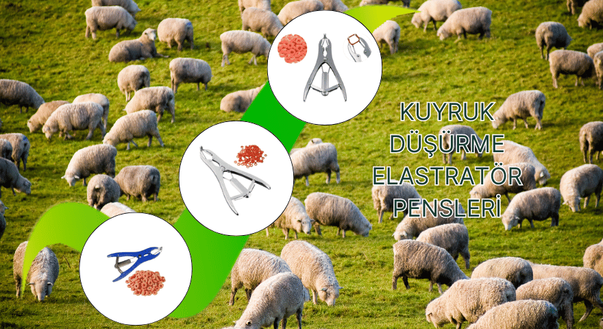 kuyruk düşürme