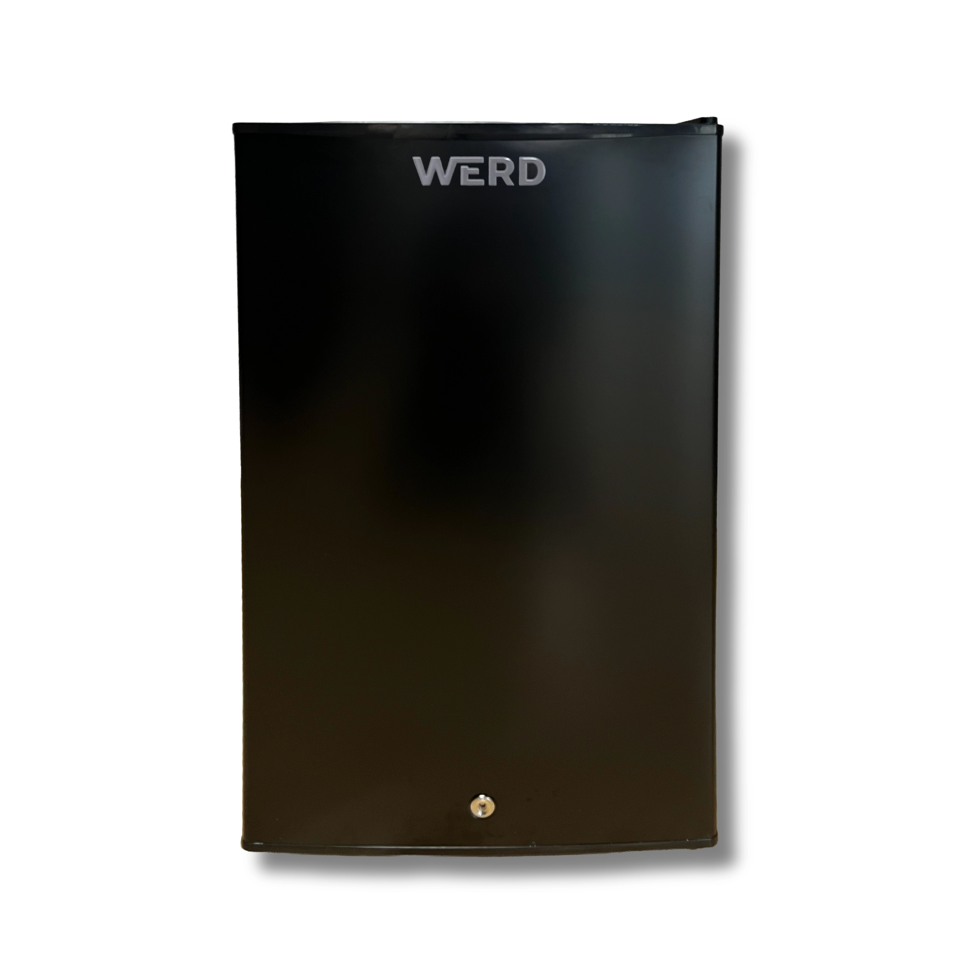 WERD 12/24V 95L BUZDOLABI