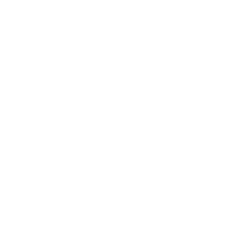 BD Motors Karavan Logo