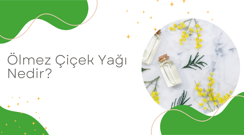 Ölmez Çiçek Yağı Nedir