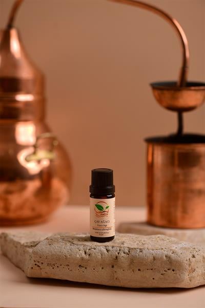 ÇAY AĞACI (TEA TREE) UÇUCU YAĞI 10 ML (Malaleuca alternifolia)