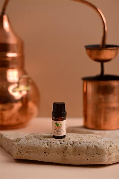 FRANKINCENSE UÇUCU YAĞI 5 ML (Boswellia carterii)