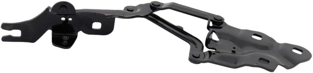 MOTOR KAPUT MENTEŞESİ SAĞ F25/F26 41617262876
