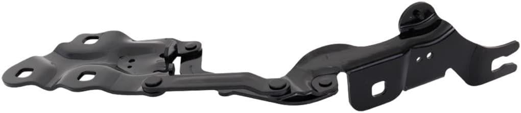 MOTOR KAPUT MENTEŞESİ SAĞ F25/F26 41617262876