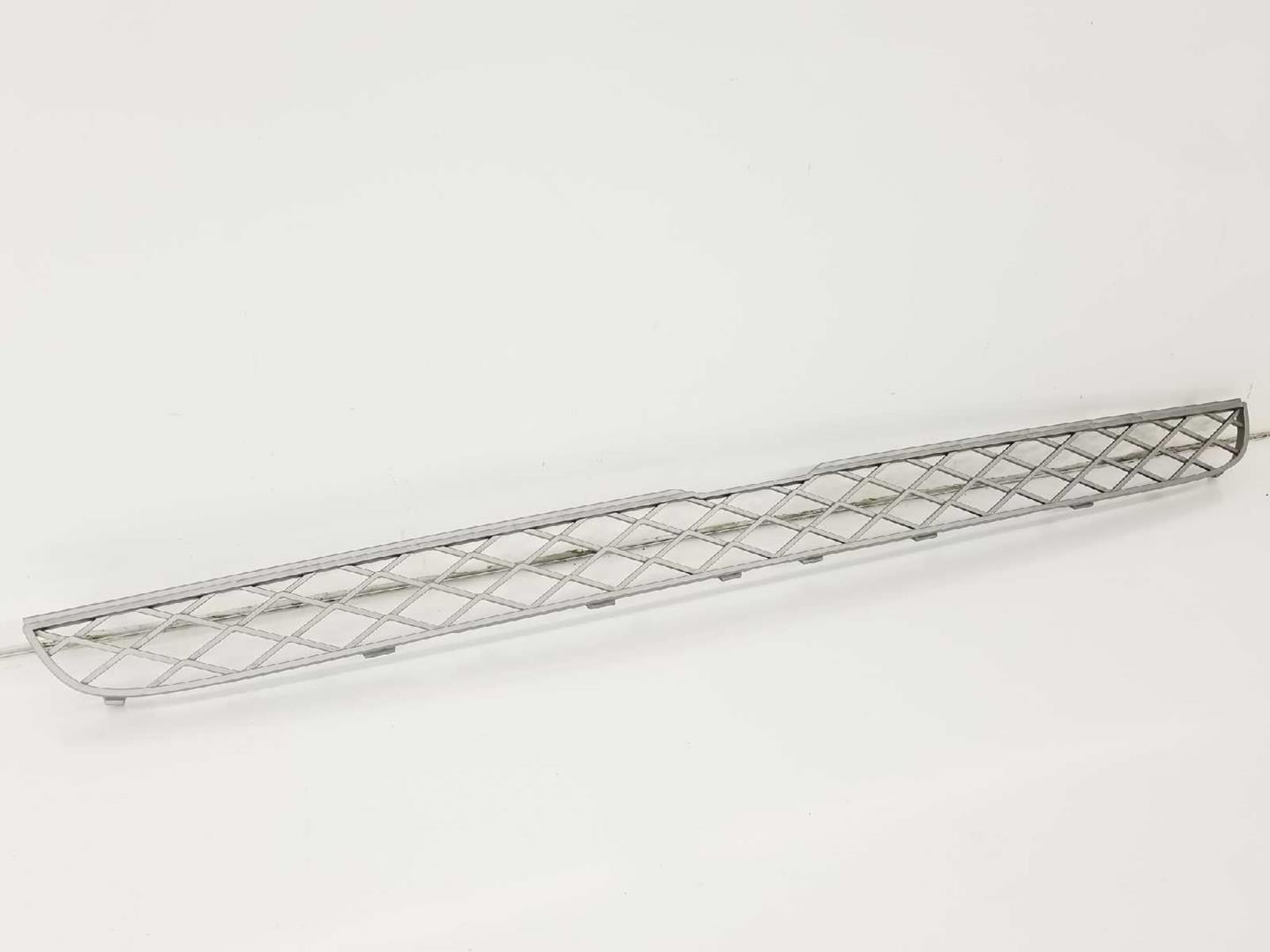 ÖN TAMPON ORTA IZGARASI E70/R71 51117159597