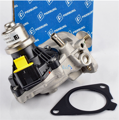 Egr Valfi F20 16D B37 704493170
