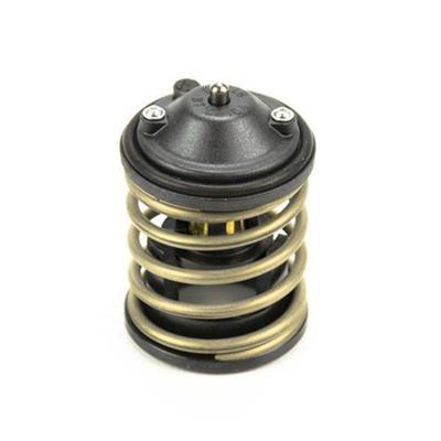 BMW TERMOSTAT 11518512234