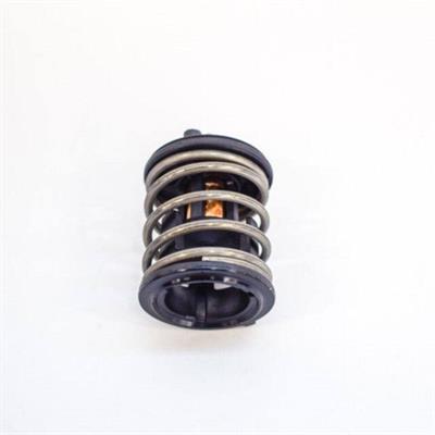 BMW TERMOSTAT 11518512234