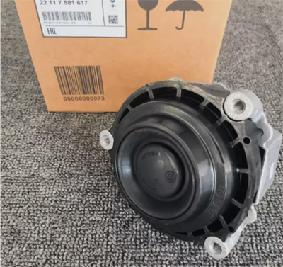 BMW MOTOR KULAK SOL 22117581617
