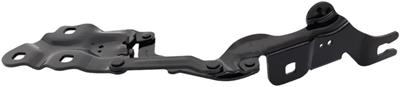 MOTOR KAPUT MENTEŞESİ SAĞ F25/F26 41617262876