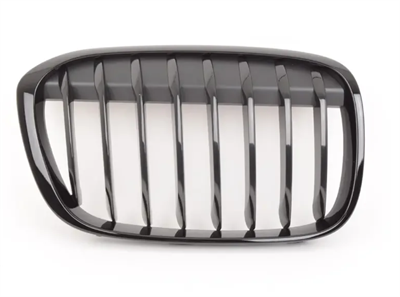 ÖN BÖBREK PANJUR SAĞ M PERFORMANCE F48/X1 51712407732