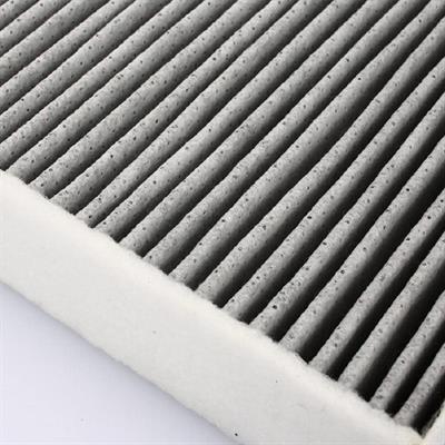 MİKRO FİLTRE F20/F30/F32/F82/F36 64119237555
