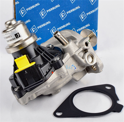 Egr Valfi F20 16D B37 704493170