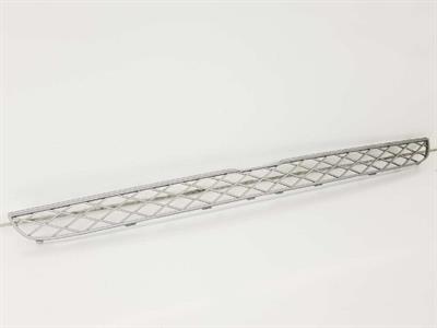 ÖN TAMPON ORTA IZGARASI E70/R71 51117159597