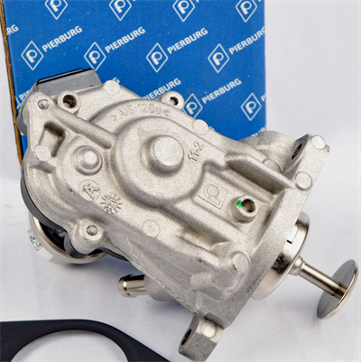 Egr Valfi F20 16D B37 704493170