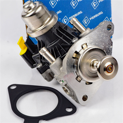 Egr Valfi F20 16D B37 704493170