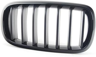 ÖN BÖBREK PANJUR SAĞ M PERFORMANCE F15/F16 51712334710