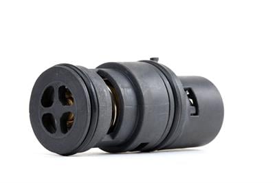 TERMOSTAT E46/E53