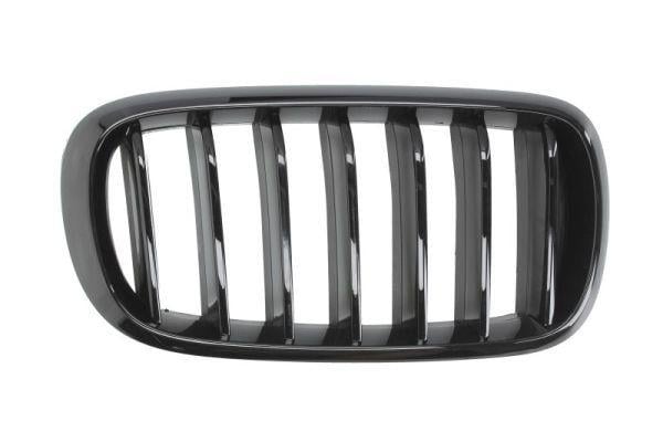 ÖN BÖBREK PANJUR SOL M PERFORMANCE F15/F16 51712334708