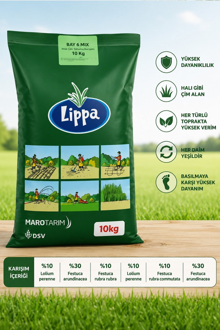 Bay 6 Mix Çim Tohumu 10 Kg