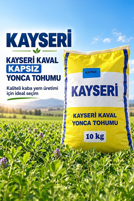 Kayseri Kaval Kapsız Yonca Tohumu 10 kg