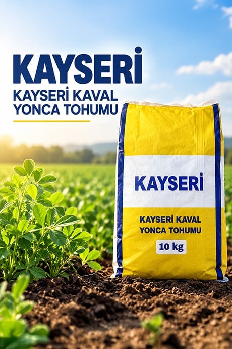Kayseri Kaval Yonca Tohumu 10 kg