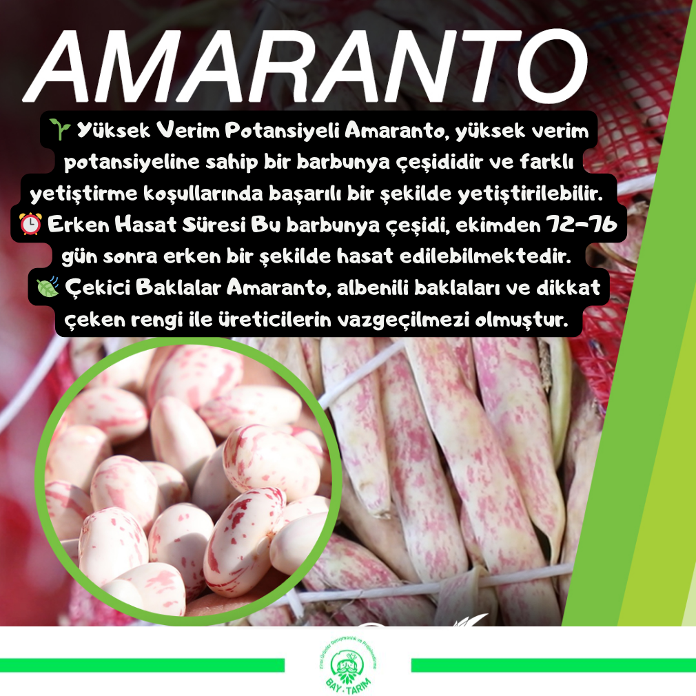 AMARANTO Fasulye Tohumu | SEMINIS 10 kg