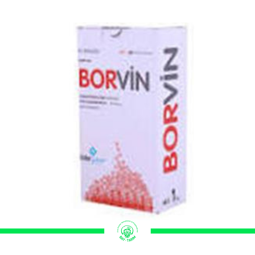 BORVİN BORİK ASİT 1 KG